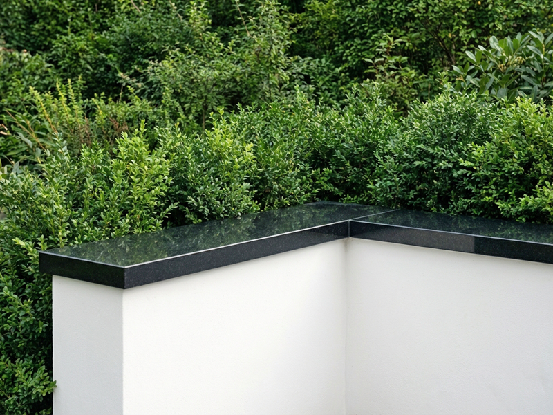 Nero Assoluto Mauerabdeckung maßgefertigt in polierter Ausführung