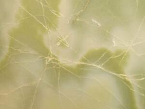 onyxmarmor gruen 800x600